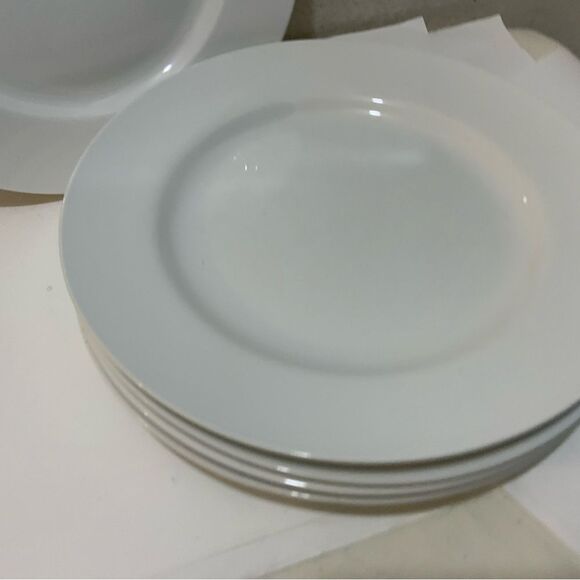Pier 1 imports luminous White porcelain  dinner Plate 11” (Set of 5) G6 - Picture 5 of 7